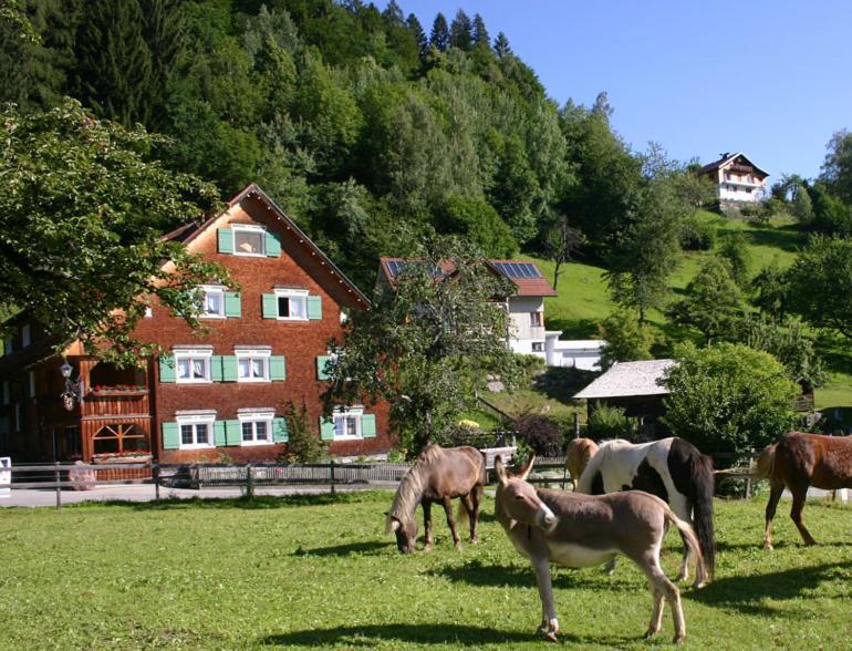 Hotel Gasthaus Schaefle Bürserberg Exterior foto